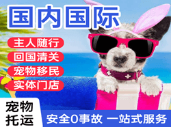 黑河瑷珲机场货运国际宠物托运 【国